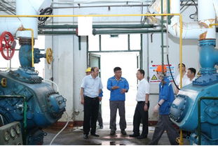 區(qū)政府副區(qū)長(zhǎng)李榮久帶隊(duì)檢查國(guó)慶節(jié)日市場(chǎng)和食品藥品特種設(shè)備安全情況